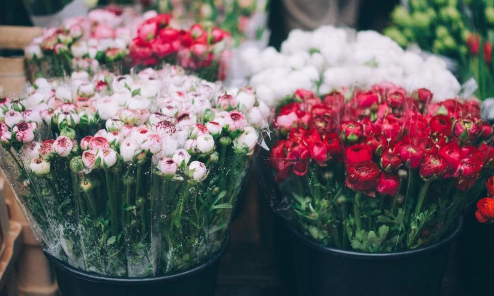 Αίτημα για πώληση λουλουδιών και ειδών ένδυσης από τους παραγωγούς